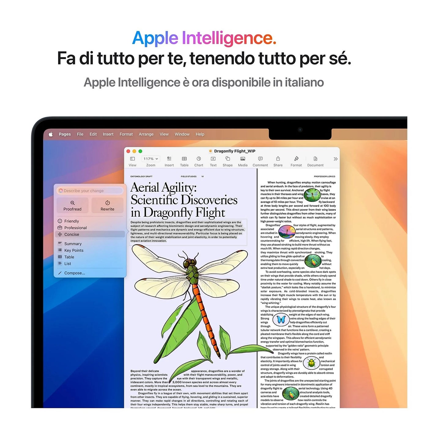 APPLE - MacBook Air 13'', Chip M4, 16 GB, 256GB